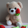 Bear Plush Toy With Rose