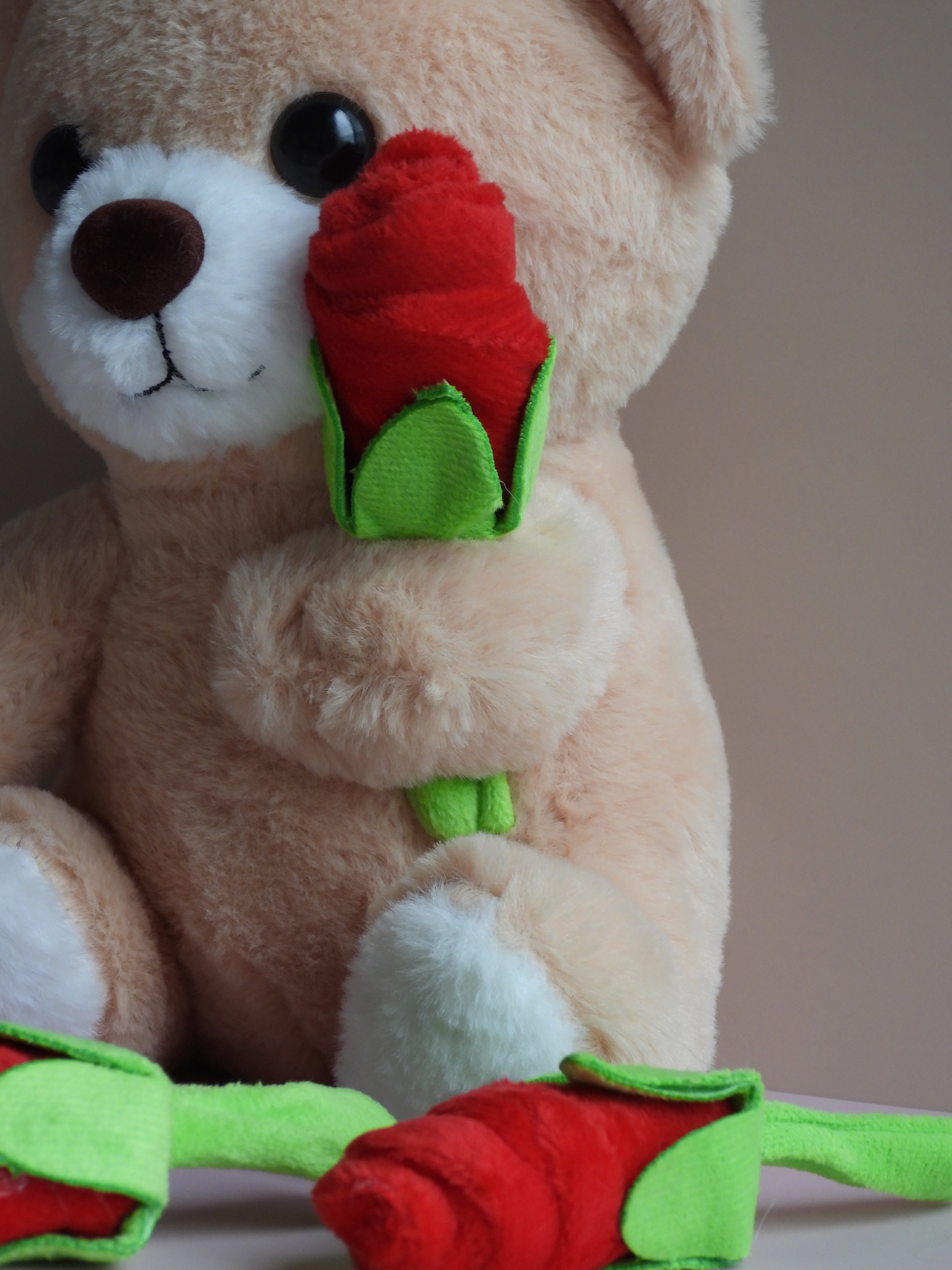 Bear Plush Toy With Rose