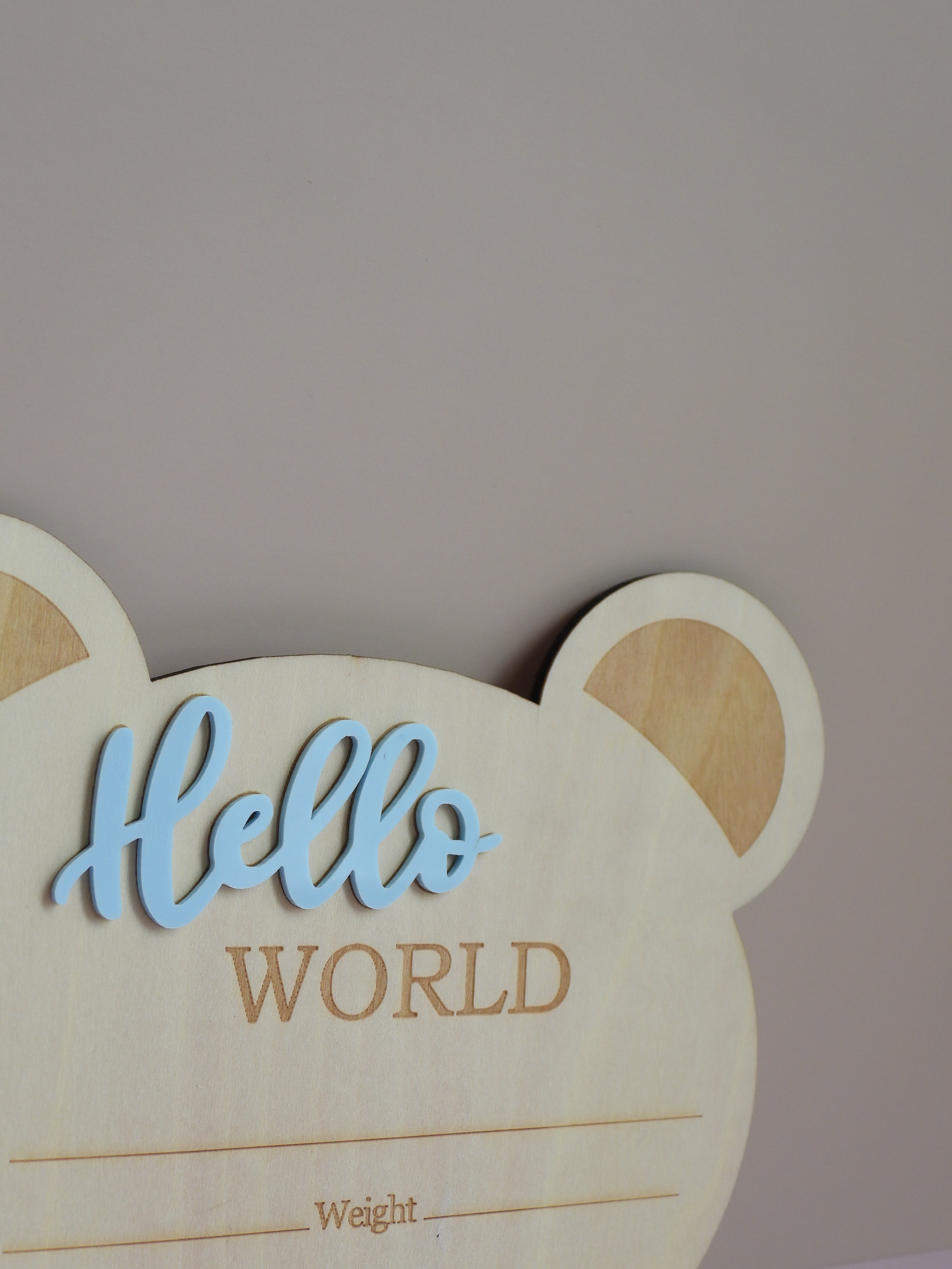 Bear "Hello World" Announcement Plaque