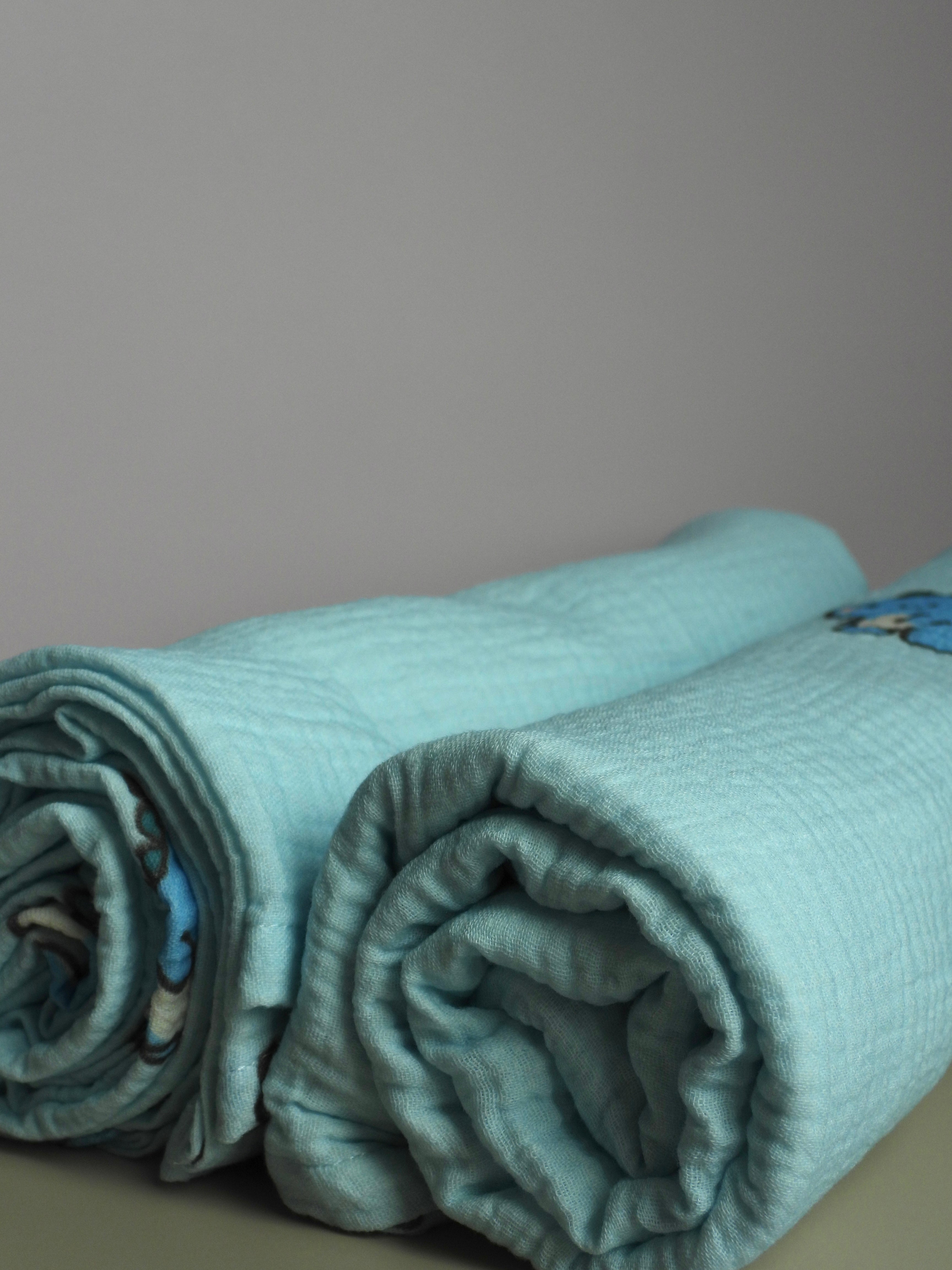 Blue Dino Organic Cotton Swaddle - 2 Pack