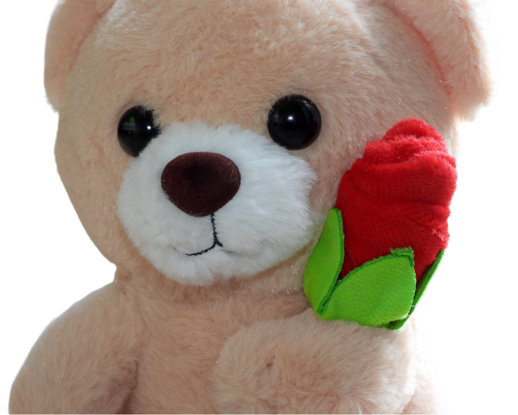 Bear Rose Plush Toy