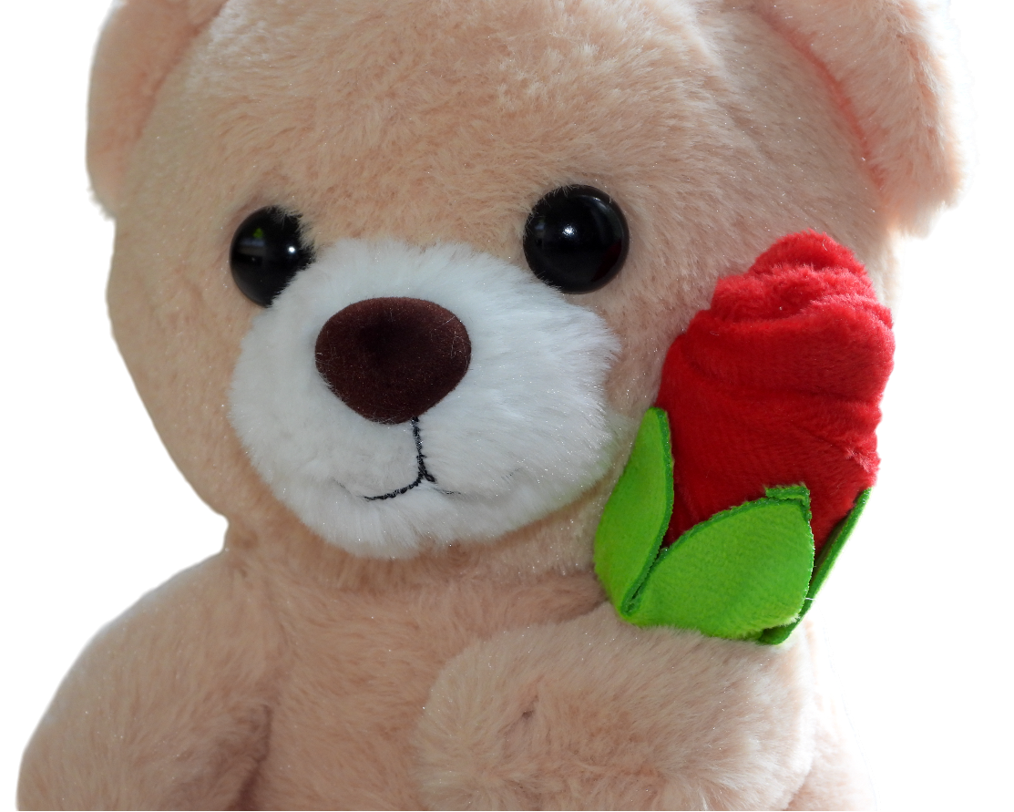 Bear Rose Plush Toy