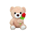 Plush teddy bear holding a red rose on a white background